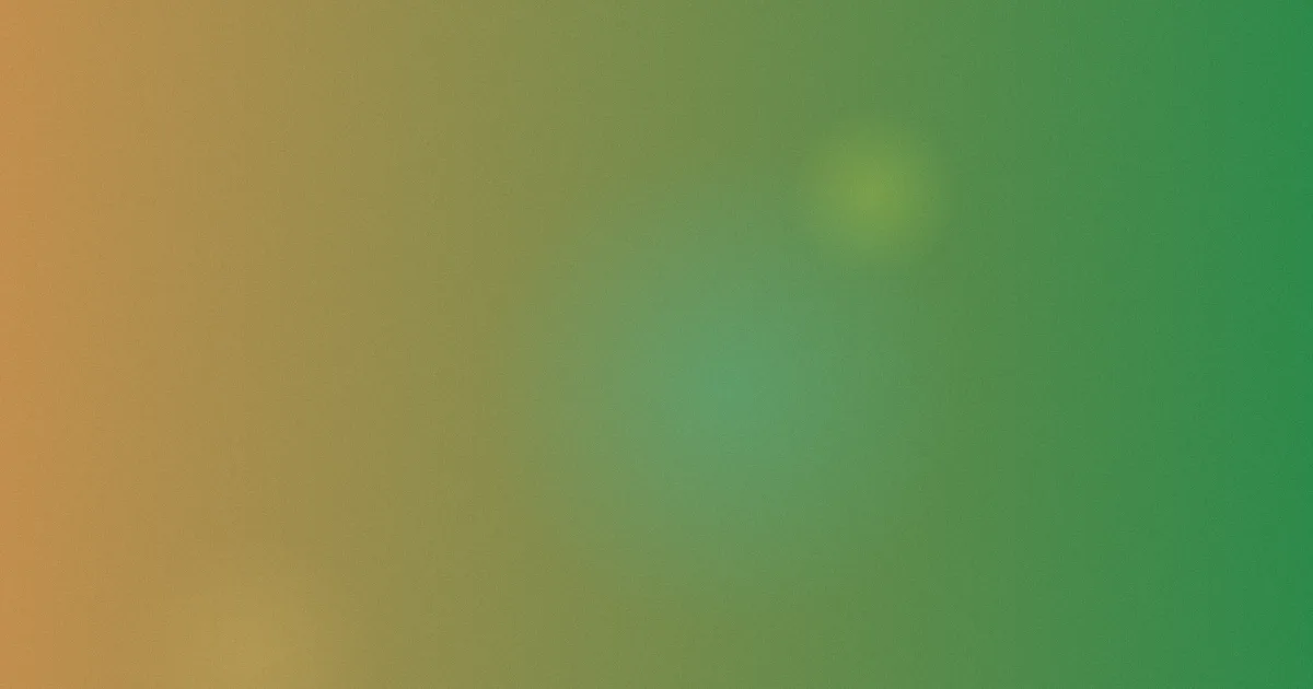 双宿双飞测评：别踩这5坑
